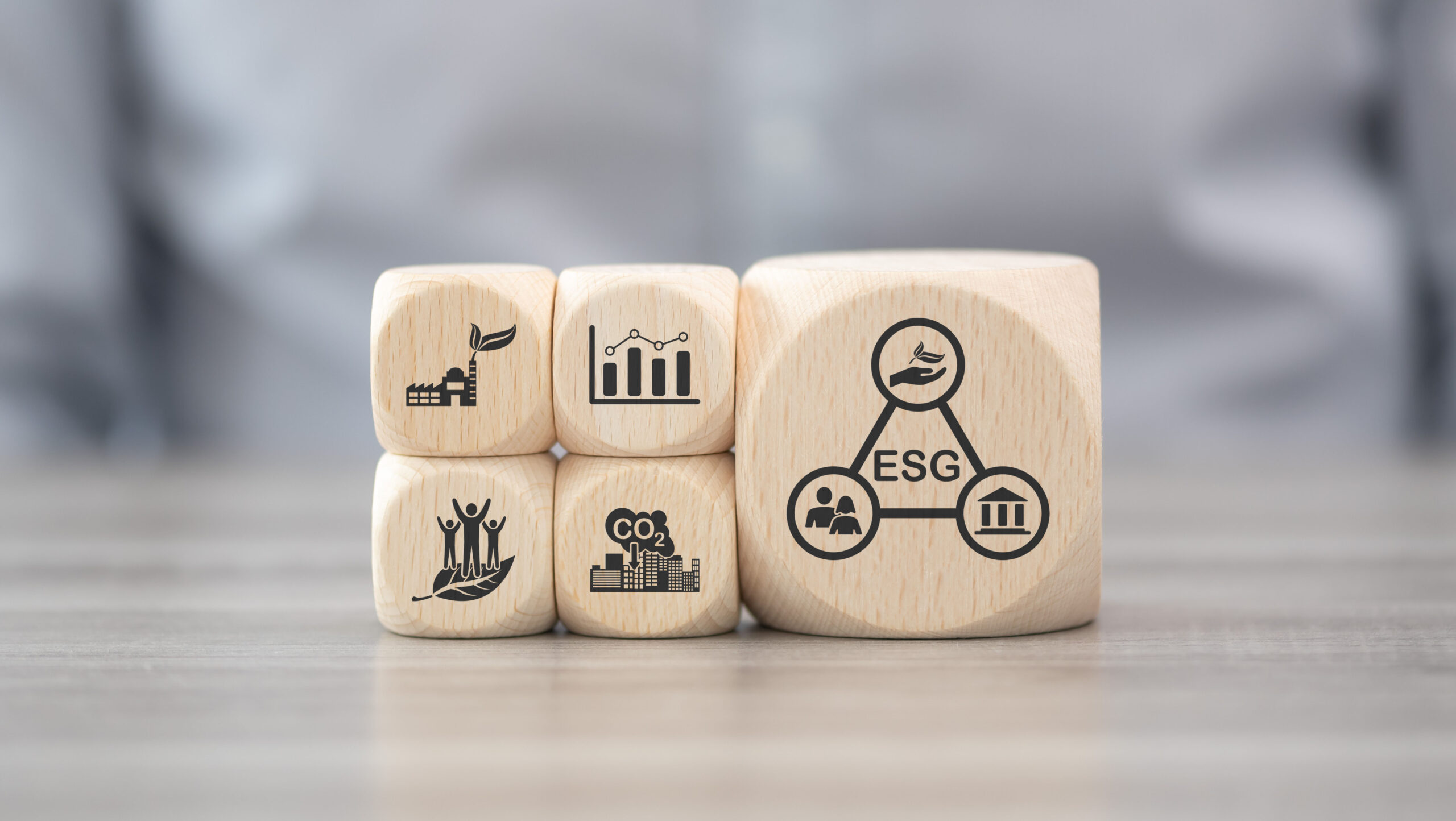 Sustainability Strategy